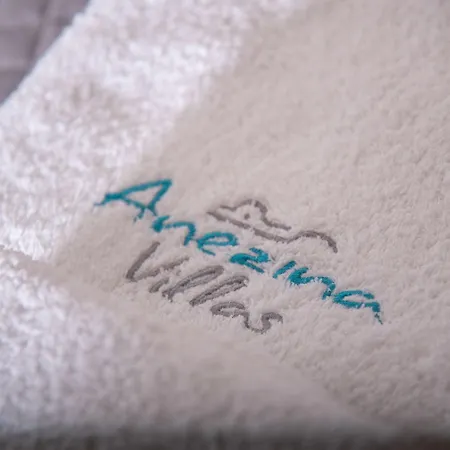 Anezina Lägenhetshotell
